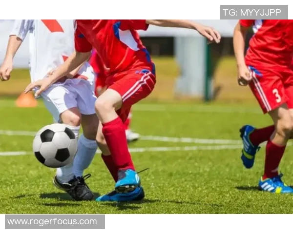体育户外用品市场发展趋势分析与未来机遇探讨